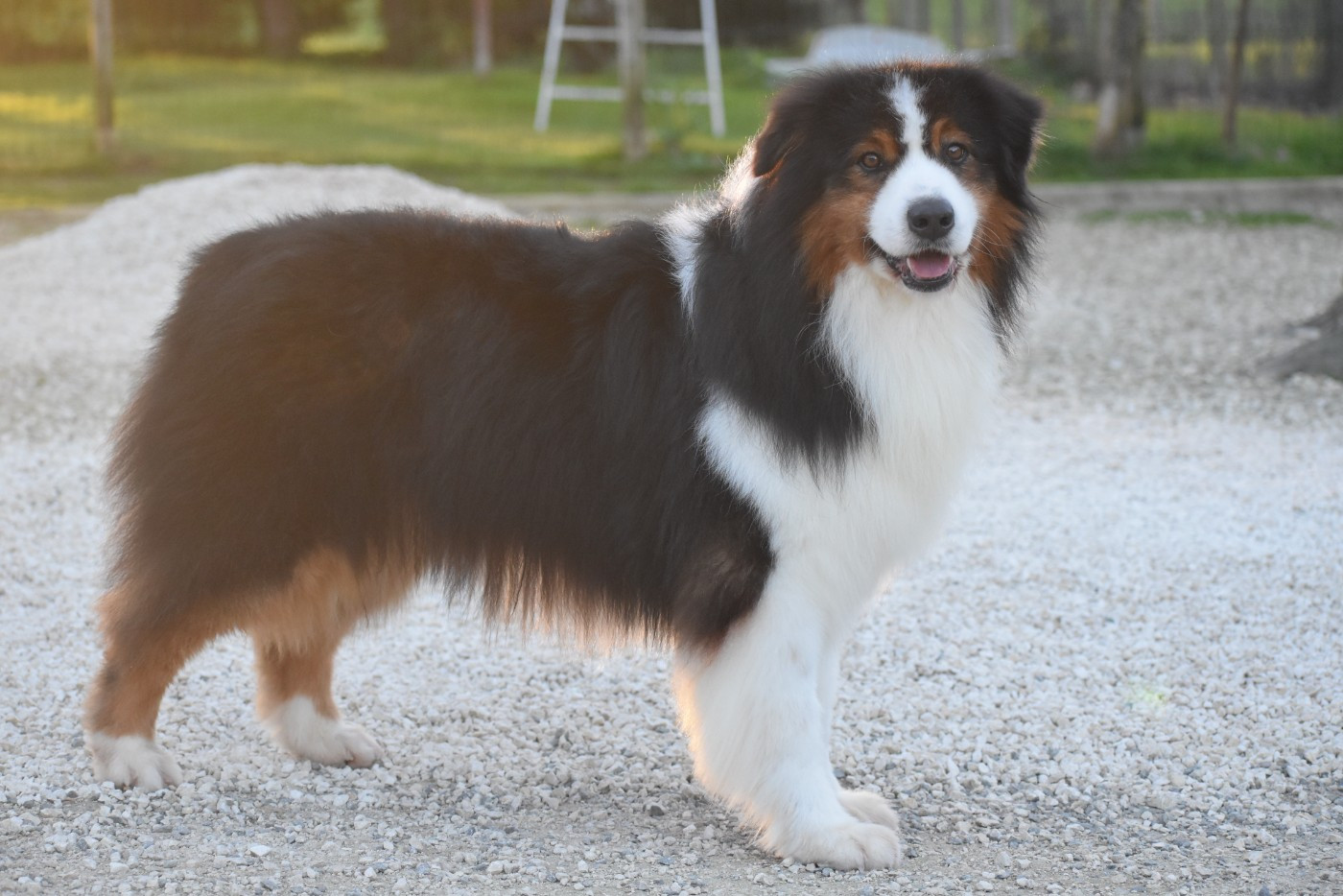 Ever Haling Open your heart i'm here aka owen