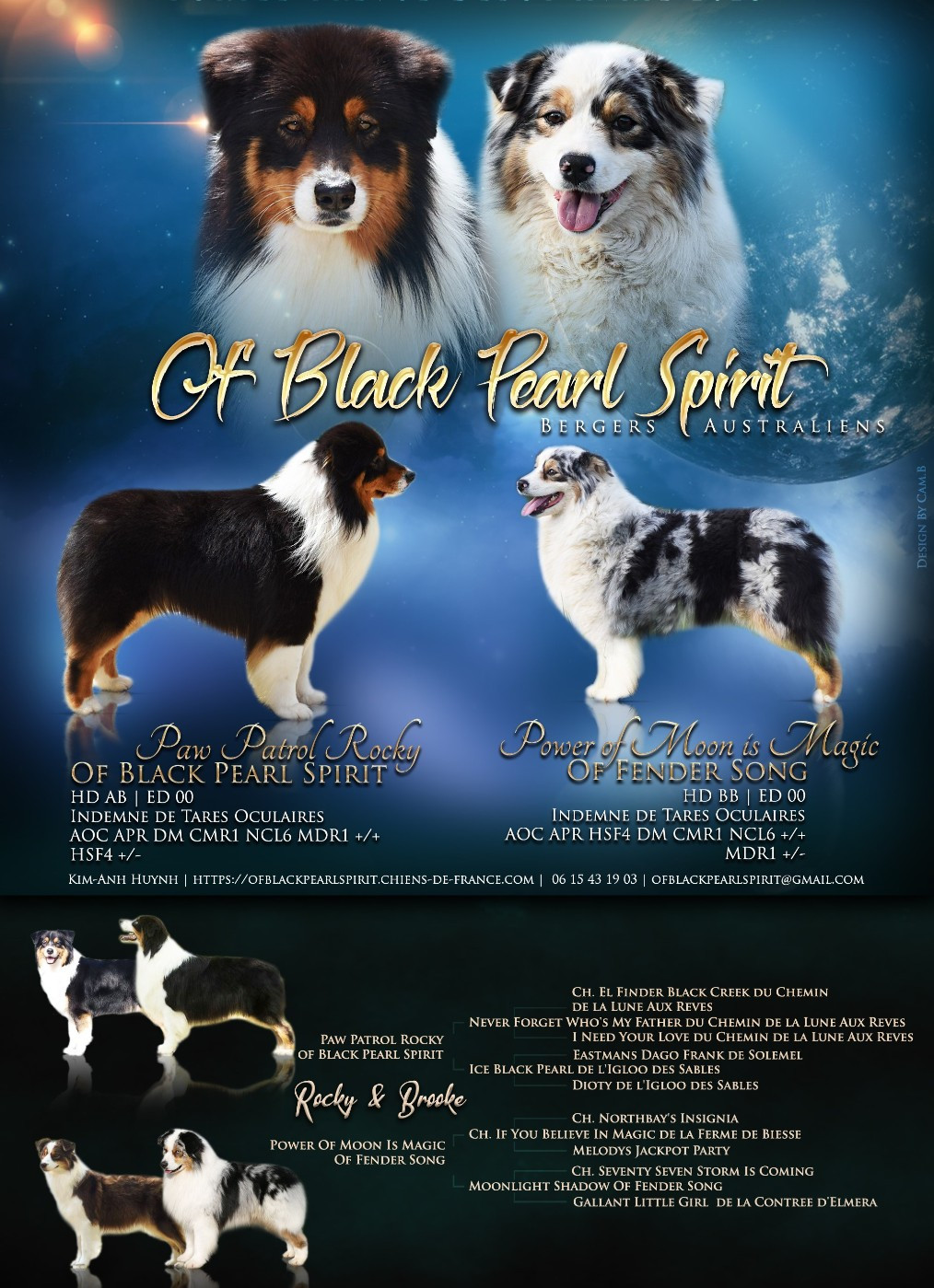 BEBES DE BROOKE ET ROCKY - CUVEE 2025