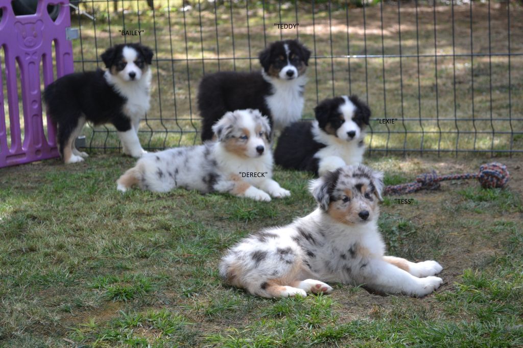 7 truffes made in Périgord attendent leur famille